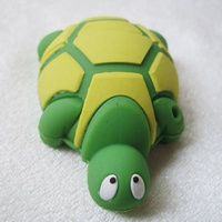 tartaruga